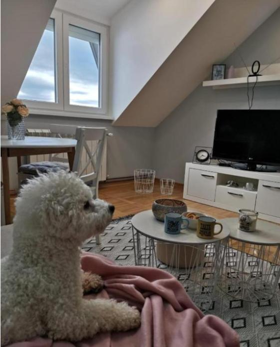 Apartman Jela Nova Varoš Eksteriør bilde