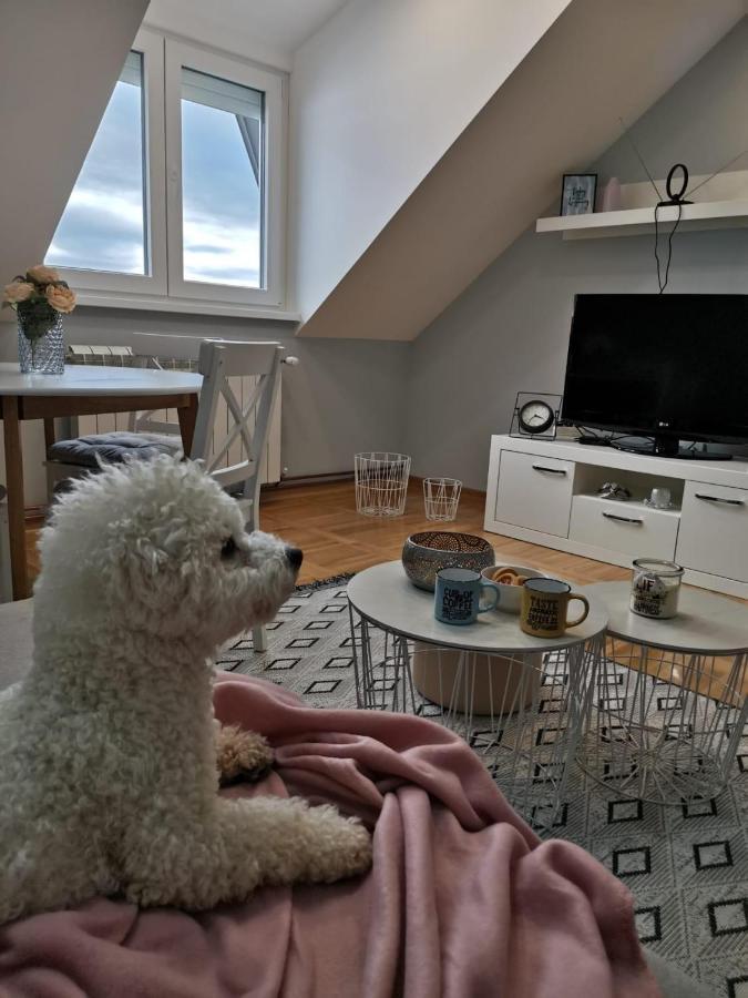 Apartman Jela Nova Varoš Eksteriør bilde